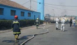 河北安平县爆料事件最新,揭秘背后真相与网络舆论风暴